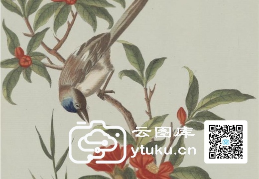 中国自然历史绘画·植物花鸟图谱(辑2)