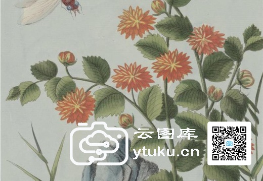 中国自然历史绘画·植物花鸟图谱(辑2)-31 棣棠花