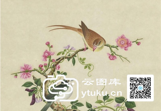 奥地利国家图书馆藏外销画册·花鸟图(辑1)-34