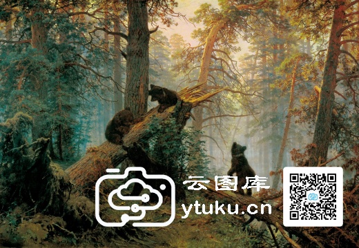 伊凡·伊凡诺维奇·希施金（Ivan I. Shishkin，18