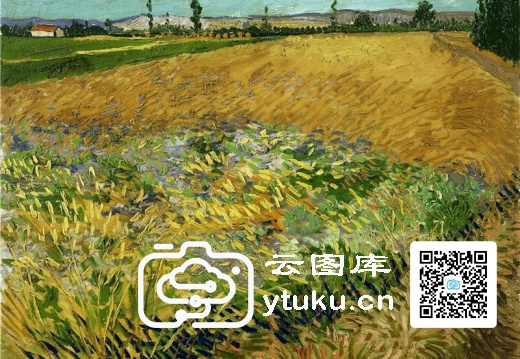 油画-文森特·威廉·梵高