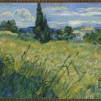 Green Wheat