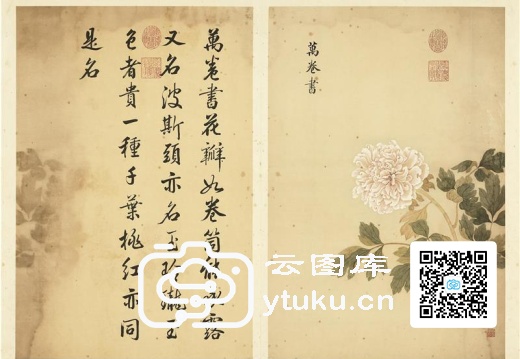 墨妙珠林(未册)·牡丹二十四品图(邹一桂绘)