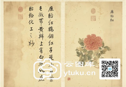 墨妙珠林(未册)·牡丹二十四品图-12 鹿胎红