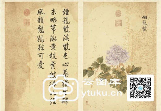 墨妙珠林(未册)·牡丹二十四品图-13 烟笼紫