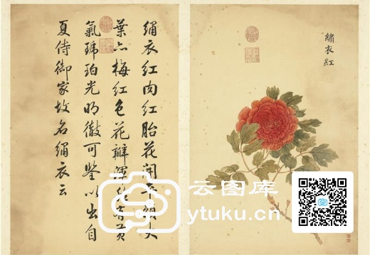 墨妙珠林(未册)·牡丹二十四品图-17 绣衣红