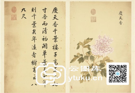 墨妙珠林(未册)·牡丹二十四品图-20 庆天香