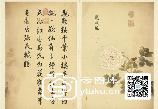 墨妙珠林(未册)·牡丹二十四品图-19 飞燕妆