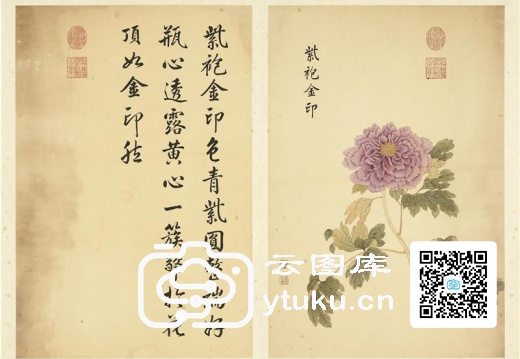 墨妙珠林(未册)·牡丹二十四品图-21 紫袍金印