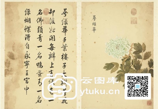 墨妙珠林(未册)·牡丹二十四品图-23 萼绿华