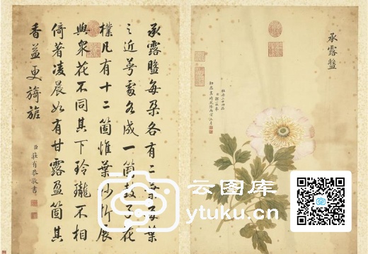 墨妙珠林(未册)·牡丹二十四品图-24 承露盘