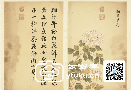 墨妙珠林(未册)·牡丹二十四品图-22 胭脂界粉