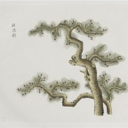 各样药材图册-431