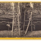 Cutting off section of Big Tree, 57c94090