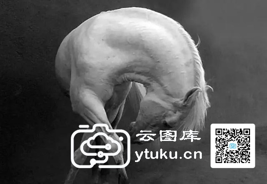 2022索尼世界摄影大赛获奖作品21