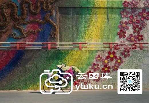 2022索尼世界摄影大赛获奖作品23