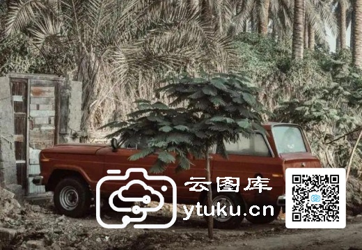 2022索尼世界摄影大赛获奖作品28