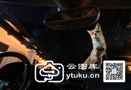 2022索尼世界摄影大赛获奖作品27