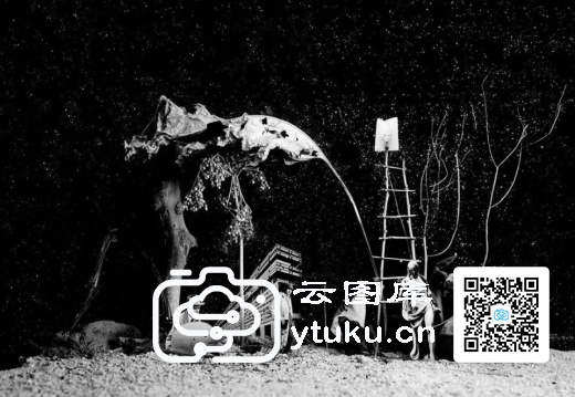 2024年索尼世界摄影大赛获奖作品110