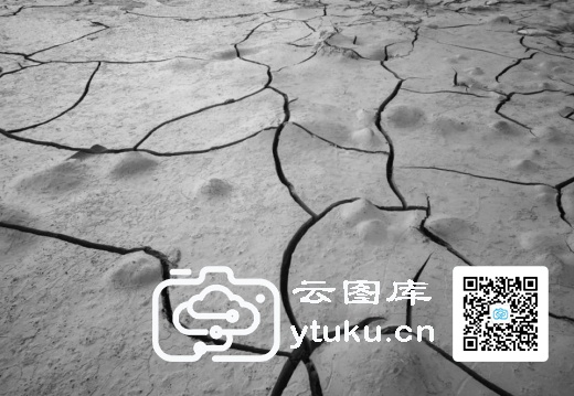 2024年索尼世界摄影大赛获奖作品117