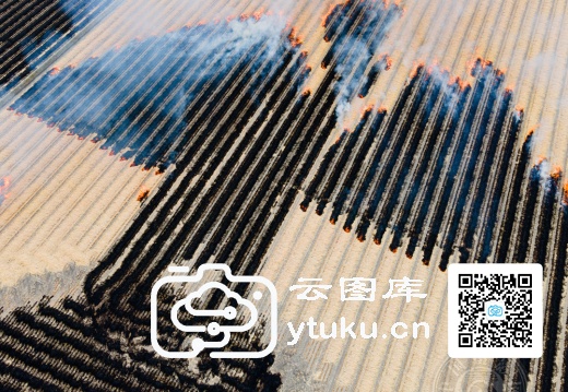 2023索尼世界摄影大赛获奖作品50