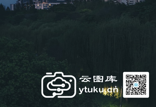 2023索尼世界摄影大赛获奖作品53