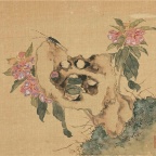 花卉奇石册 十二开-004