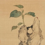 花卉奇石册-十二开-7