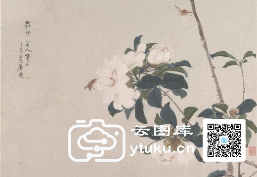 清 居廉 花卉虫草 册页 八开%7CInsects and Fl