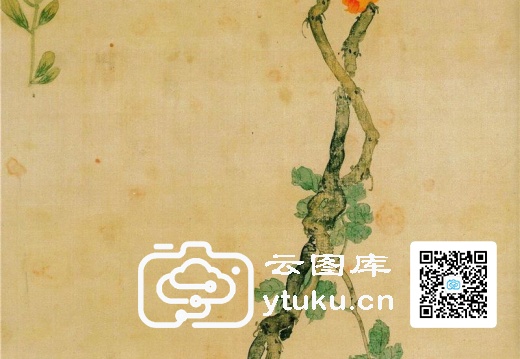 花卉四屏之一(纸本)