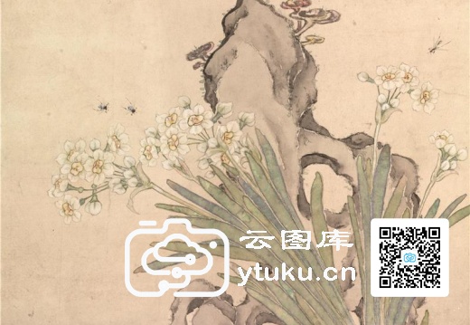 水仙山石图页(纸本)