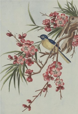 中国自然历史绘画·植物花鸟图谱(辑2)-57 红梅