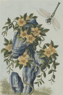 中国自然历史绘画·植物花鸟图谱(辑2)-56 凌霄花