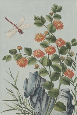 中国自然历史绘画·植物花鸟图谱(辑2)-31 棣棠花