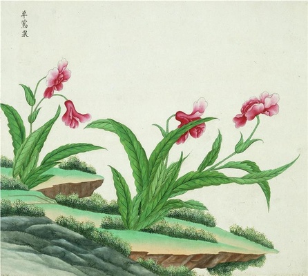 中国自然历史绘画·植物花鸟图谱(辑1)-22 单莺栗
