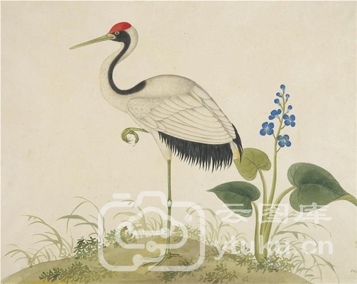 中国自然历史绘画·植物花鸟图谱(辑1)-12
