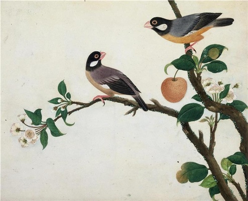中国自然历史绘画·植物花鸟图谱(辑1)-9