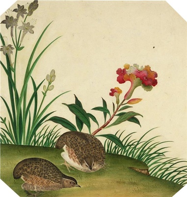 中国自然历史绘画·植物花鸟图谱(辑1)-8