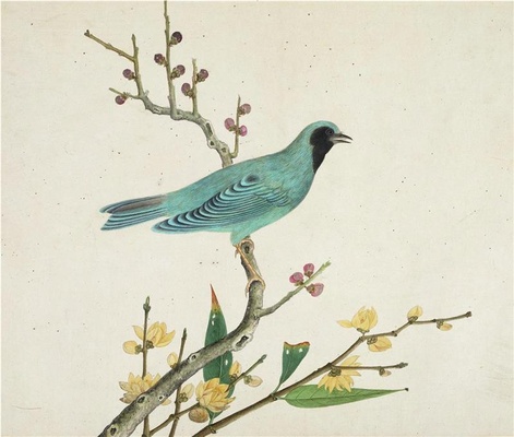 中国自然历史绘画·植物花鸟图谱(辑1)-7