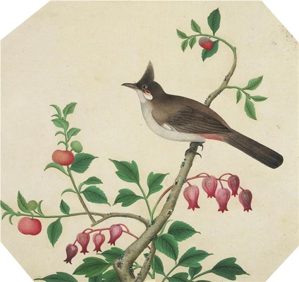 中国自然历史绘画·植物花鸟图谱(辑1)-5