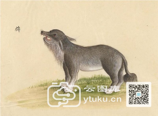 中国自然历史绘画·动物图谱-95 辟