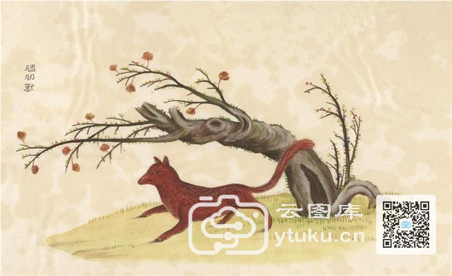 中国自然历史绘画·动物图谱-71 腽肕(肭)兽