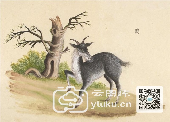 中国自然历史绘画·动物图谱-35 闾(羭)