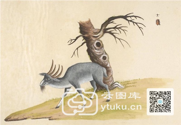 中国自然历史绘画·动物图谱-32 士(？)