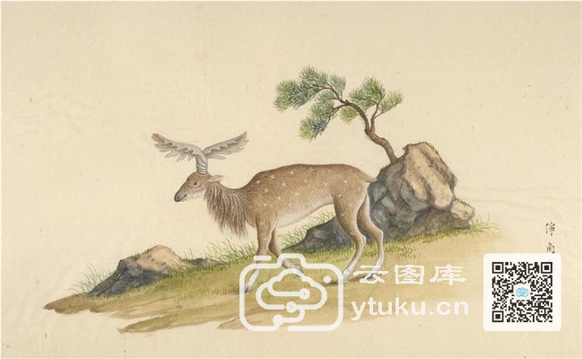 中国自然历史绘画·动物图谱-29 獰(狞)角鹿