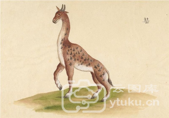 中国自然历史绘画·动物图谱-10 骆