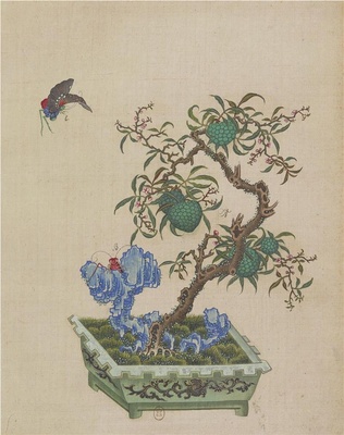 盆景花鸟图册-066