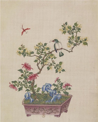 盆景花鸟图册-036