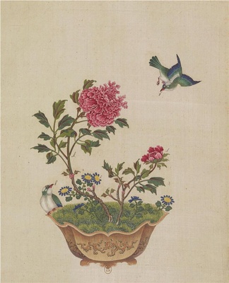 盆景花鸟图册-022