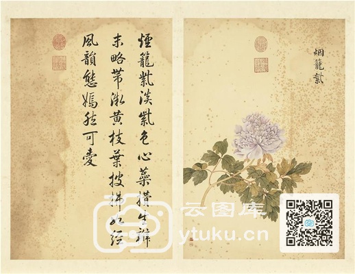 墨妙珠林(未册)·牡丹二十四品图-13 烟笼紫